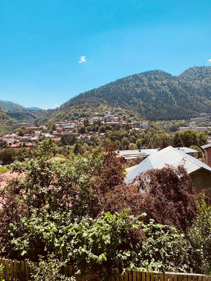 Ano'A Borjomi Exterior foto